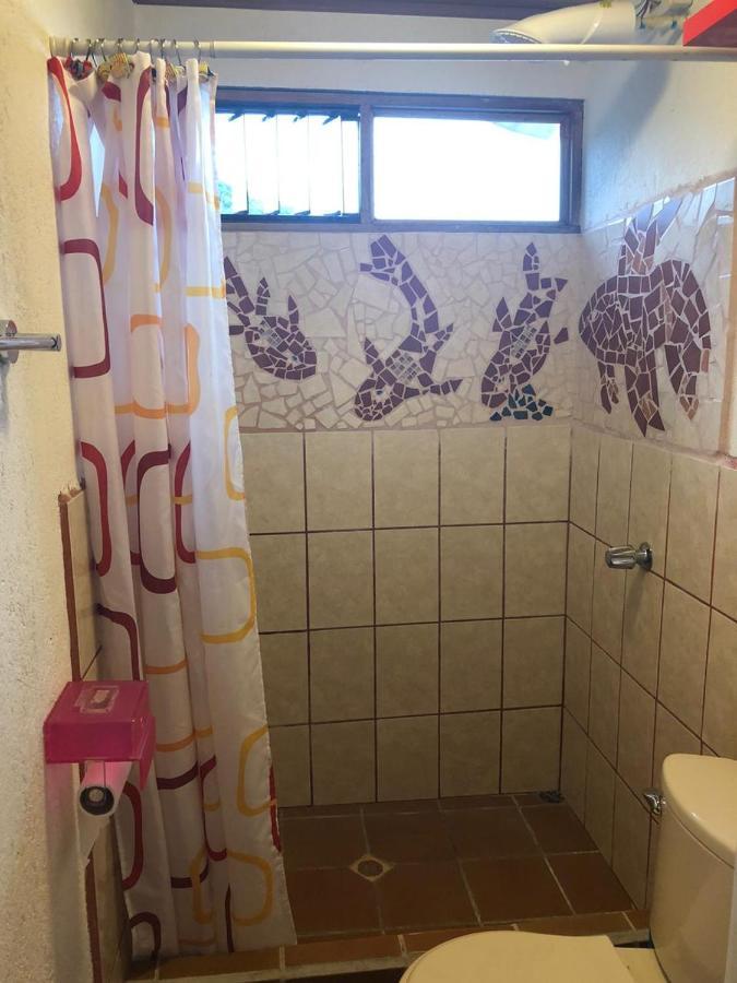Piedades Owl House酒店 外观 照片