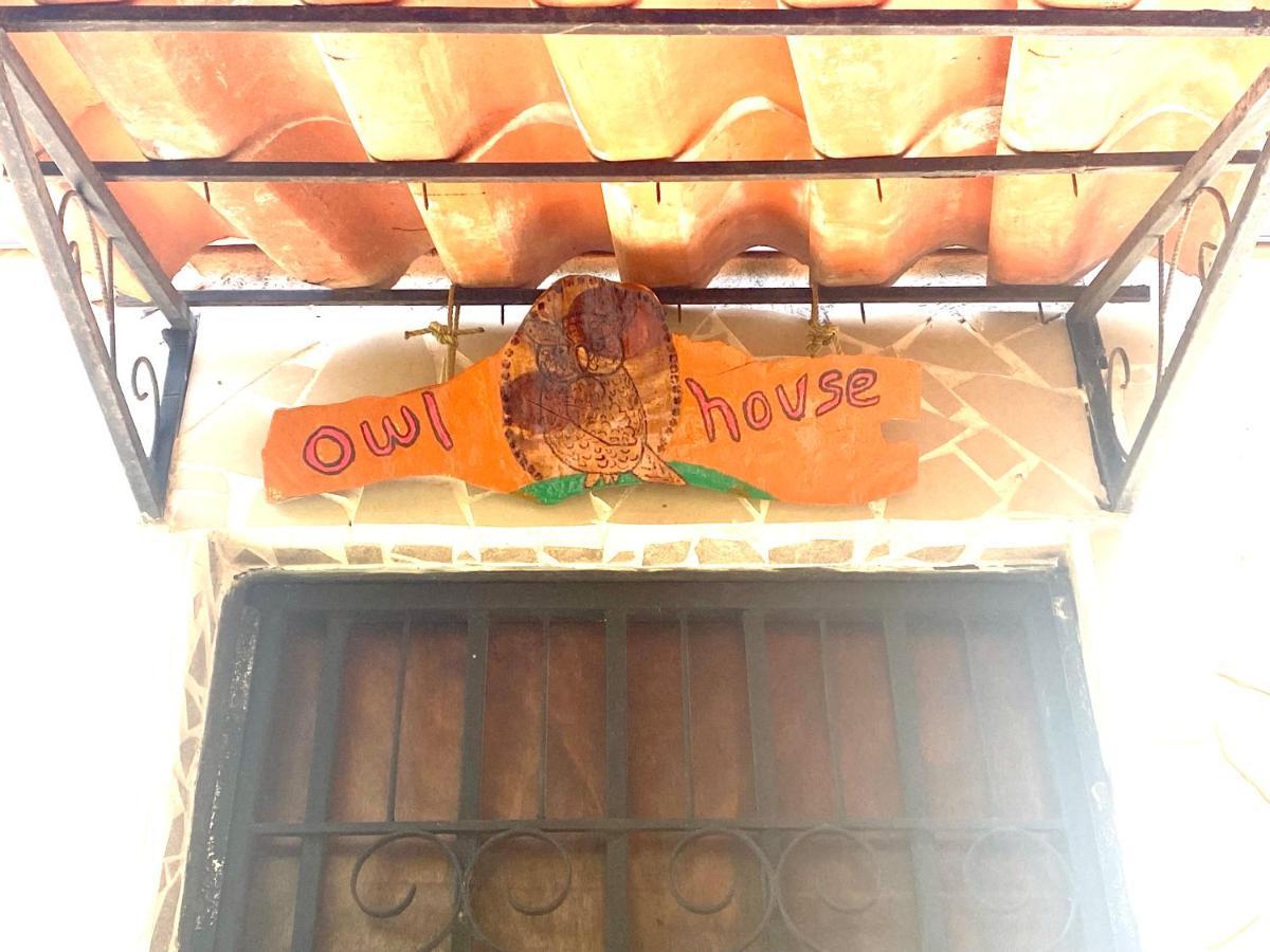 Piedades Owl House酒店 外观 照片